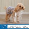 Vague 名入れ 名前 刺繍 犬 服 犬の服 ドッグウェア ペットウェア 小型犬 フレブル ダックス 綿 コットン 日本製 袖なし キャミソール ドレス ストライプ フリル スカート 肩ひも りぼん かわいい おしゃれ