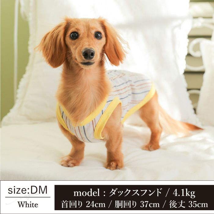 Vague 名入れ 名前 刺繍 犬　服　犬服　犬の服　ドッグウェア　ペットウェア　袖なし タンクトップ 小型犬 フレブル ダックス 綿 コットン 日本製 誕生日 記念日 春 夏 ギフト プレゼント 贈り物  スナップボタン ストライプ 