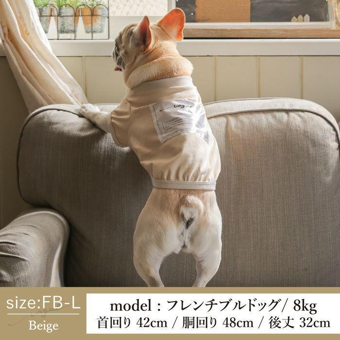 Vague 犬 服 洋服 犬の服 ドッグウェア ペットウェア 小型犬 ダックス フレブル 春 夏 秋 ビタミンカラー 綿 コットン 日本製 かわいい おしゃれ