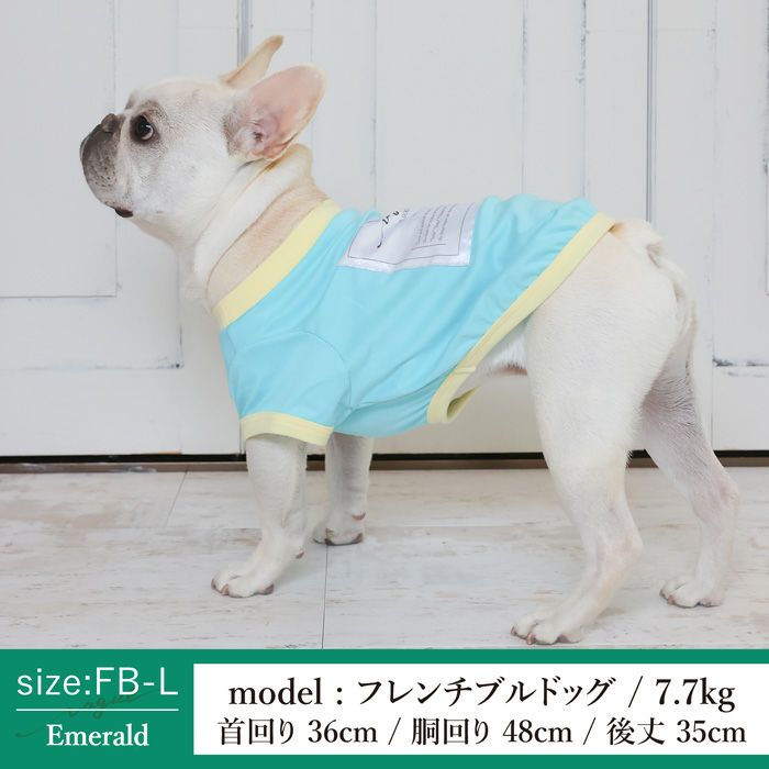 Vague 犬 服 洋服 犬の服 ドッグウェア ペットウェア 小型犬 ダックス フレブル 春 夏 秋 ビタミンカラー 綿 コットン 日本製 かわいい おしゃれ