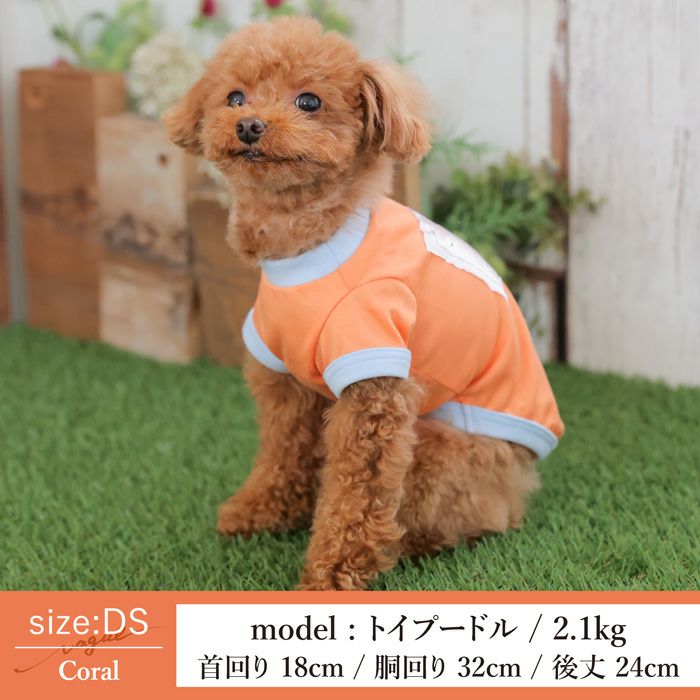 Vague 犬 服 洋服 犬の服 ドッグウェア ペットウェア 小型犬 ダックス フレブル 春 夏 秋 ビタミンカラー 綿 コットン 日本製 かわいい おしゃれ