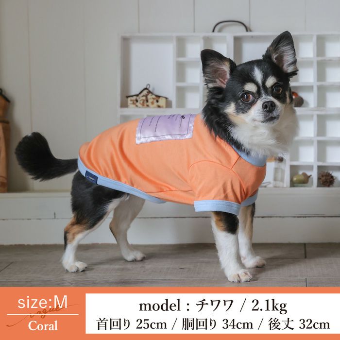 Vague 犬 服 洋服 犬の服 ドッグウェア ペットウェア 小型犬 ダックス フレブル 春 夏 秋 ビタミンカラー 綿 コットン 日本製 かわいい おしゃれ