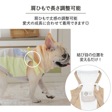 袖を通すのを嫌がる愛犬の為のアイテム犬服犬服犬の服ドッグウェアペットウェアあす楽メール便送料無料誕生日記念日母の日父の日春夏ギフトプレゼント贈り物メッセージカード綿コットン日本製国産タンクトップ袖なし肩紐着脱簡単