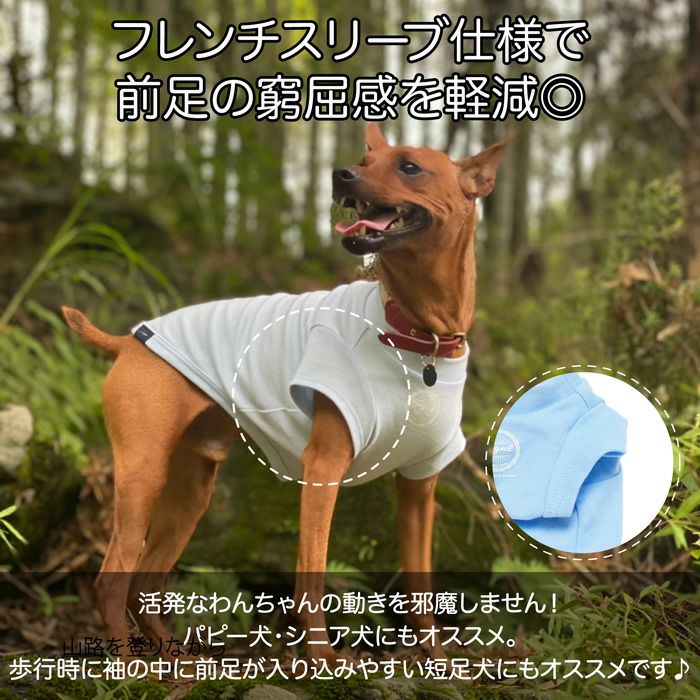 Vague 犬 服 洋服 犬の服 ドッグウェア ペットウェア お揃い ペアルック　小型犬 フレブル ダックス Tシャツ 春 夏 秋 おしゃれ かわいい 綿 コットン 日本製 