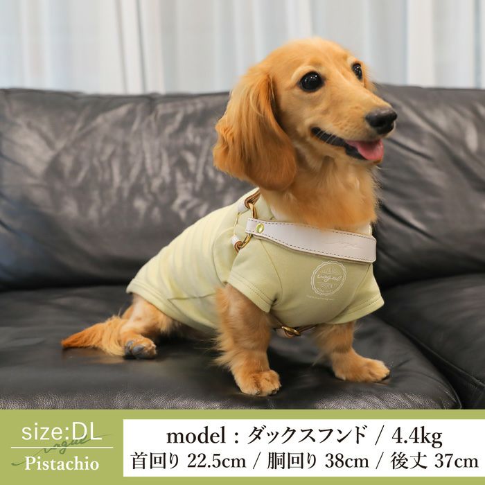 Vague 犬 服 洋服 犬の服 ドッグウェア ペットウェア お揃い ペアルック　小型犬 フレブル ダックス Tシャツ 春 夏 秋 おしゃれ かわいい 綿 コットン 日本製 