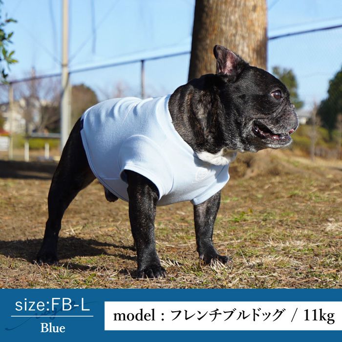 Vague 犬 服 洋服 犬の服 ドッグウェア ペットウェア お揃い ペアルック　小型犬 フレブル ダックス Tシャツ 春 夏 秋 おしゃれ かわいい 綿 コットン 日本製 