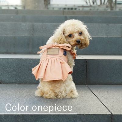 【ポイント20倍】☆楽天ランキング1位☆ラッピング無料犬服洋服犬の服ドッグウェアドッグドレス小型犬超小型犬あす楽メール便送料無料誕生日記念日ギフトプレゼントスカートワンピースふりふりフリルメス日本製綿父の日母の日