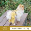 ラッピング無料犬服犬服洋服犬の服ドッグウェアペットウェア綿コットンサロペット小型犬誕生日記念日父の日母の日春夏あす楽メール便送料無料ギフトプレゼントオス男の子オーバーオールカバーオールボトム日本製国産