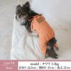 ラッピング無料犬服犬服洋服犬の服ドッグウェアペットウェア綿コットンサロペット小型犬誕生日記念日父の日母の日春夏あす楽メール便送料無料ギフトプレゼントオス男の子オーバーオールカバーオールボトム日本製国産