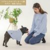 【レディース飼い主用】ペアルックお揃い犬洋服犬の服ドッグウェア小型犬ペットウェアフレブルあす楽送料無料誕生日記念日母の日父の日春夏ギフトプレゼントラッピング無料犬友カジュアル綿コットン日本製パーカーフード