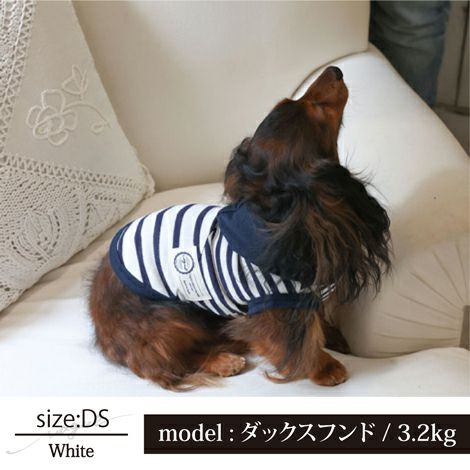 犬服 犬の服 ドッグウェア ペットウェア タンクトップ 袖なし ボーダー フード 綿 コットン 小型犬 ダックス 日本製 Vague おしゃれ かわいい 春 夏 秋