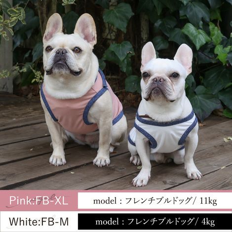 Vague 日本製 綿 コットン 犬服 犬の服 ドッグウェア ペットウェア フレブル 小型犬 タンクトップ 袖なし りぼん かわいい おしゃれ 英字 プリント 