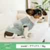 【ポイント20倍】☆楽天ランキング1位☆ラッピング無料犬服犬服洋服犬の服ドッグウェアペットウェアペアルックお揃いあす楽メール便送料無料誕生日記念日ギフトプレゼントメッセージカード綿サマーニット抗菌防臭日本製父の日母の日