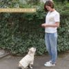 【ポイント20倍】ラッピング無料犬服犬服犬の服ペットとお揃い飼い主とお揃い大人女性飼い主あす楽メール便送料無料誕生日記念日ギフトプレゼントぺアルックおそろコーデTシャツアロハ柄日本製綿父の日母の日