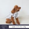 【ポイント20倍】あす楽メール便対応可犬服洋服犬服犬の服ドッグウェアペットウェアクリスマスX'mas誕生日記念日ギフトプレゼント贈り物無料ラッピングメッセージカード送料無料ペアルックお揃いシャツ日本製袖あり薄手綿メス女の子フリルふりふり父の日母の日