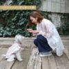 【ポイント20倍】あす楽メール便対応可犬服洋服犬服犬の服ドッグウェアペットウェアクリスマスX'mas誕生日記念日ギフトプレゼント贈り物無料ラッピングメッセージカード送料無料ペアルックお揃いシャツ日本製袖あり薄手綿メス女の子フリルふりふり父の日母の日