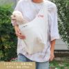 【ポイント20倍】ラッピング無料犬猫ペット小型犬超小型犬ドッグペットグッズ用品スリングバッグショルダーバッグあす楽メール便送料無料誕生日記念日父の日母の日ホワイトデー母の日ギフトプレゼント肩掛け日本製キャンバスエコバッグ