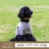 【首輪とリードのセット1000円引き】ラッピング無料犬ペット用品ドッググッズ小型犬ペットグッズ首輪カラーリードあす楽送料無料メール便誕生日父の日ギフトプレゼントショルダー肩掛け手持ちレザー革ロープ散歩お出かけ手ぶら
