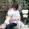 【犬服と飼い主様のTシャツセット500円引き】お揃いペアルック犬服洋服犬服犬の服ドッグウェアペット小型犬フレブルダックスあす楽メール便送料無料誕生日記念日父の日母の日春夏ギフトプレゼントラッピング無料綿コットン日本製国産