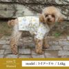 【犬服と飼い主様のTシャツセット500円引き】お揃いペアルック犬服洋服犬服犬の服ドッグウェアペット小型犬フレブルダックスあす楽メール便送料無料誕生日記念日父の日母の日春夏ギフトプレゼントラッピング無料綿コットン日本製国産