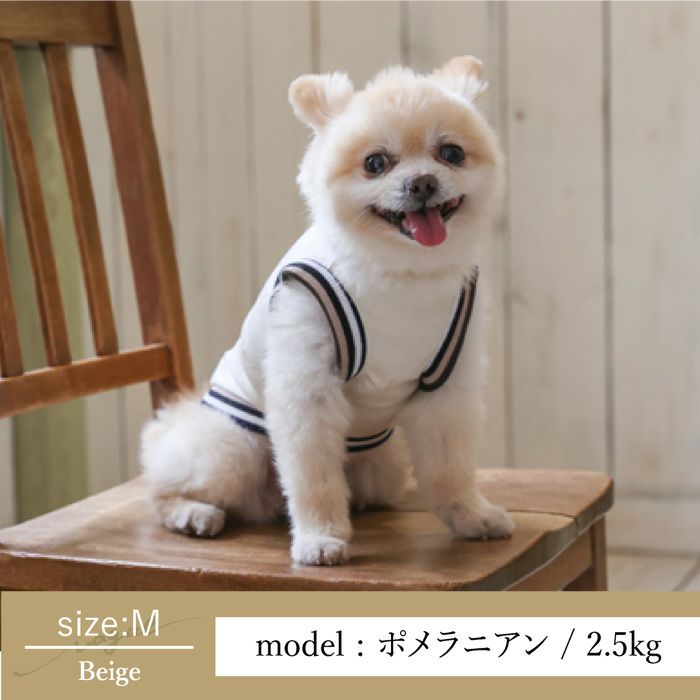 Vague 犬 服 犬の服 洋服 ドッグウェア ペットウェア 小型犬 背面開き ボタン 着脱 ヘルニア 老犬 