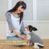 【レディース女性飼い主様用】犬洋服犬服犬の服ドッグウェア小型犬ペアルックお揃いブランドギフトプレゼント贈り物ラッピング無料シンプルカジュアルおしゃれ日本製国産綿コットンTシャツラグランロゴ春夏秋Vagueブランド