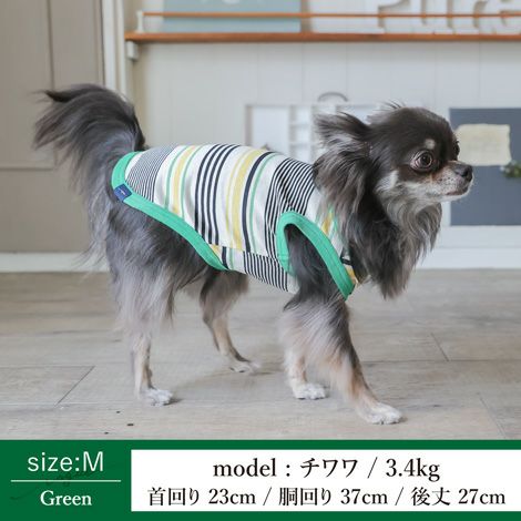 【ポイント20倍】【初売りP還元】ラッピング無料犬服洋服犬服犬の服ドッグウェアペットウェア小型犬あす楽メール便送料無料誕生日記念日バレンタインデーホワイトデープレゼントギフト贈り物タンクトップコットン綿ボーダー肌触り日本製
