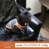 【ポイント20倍】【初売りP還元】ラッピング無料犬服洋服犬服犬の服ドッグウェアペットウェア小型犬あす楽メール便送料無料誕生日記念日バレンタインデーホワイトデープレゼントギフト贈り物タンクトップコットン綿ボーダー肌触り日本製