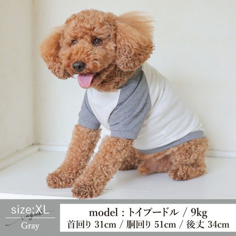 Vague ロゴ 刺繍 犬 服 洋服 犬の服 ドッグウェア ペットウェア Tシャツ ラグラン お揃い ペアルック  かわいい おしゃれ 綿 コットン 日本製 春 夏 秋 