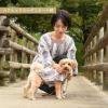 ☆楽天ランキング1位☆【ポイント20倍】【初売りP還元】ラッピング無料犬服犬服犬の服ドッグウェア小型犬ペアルックお揃いあす楽メール便送料無料誕生日記念日バレンタインデーホワイトデーギフトプレゼント綿日本製シャツストライプ