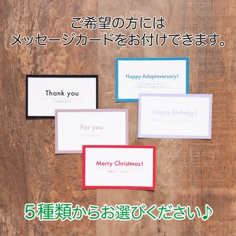 ☆楽天ランキング1位☆【ポイント20倍】【初売りP還元】ラッピング無料犬服犬服犬の服ドッグウェア小型犬ペアルックお揃いあす楽メール便送料無料誕生日記念日バレンタインデーホワイトデーギフトプレゼント綿日本製シャツストライプ