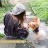 【ポイント20倍】【レディース飼い主用】お揃いペアルック犬服犬服犬の服ドッグウェアペットとお揃い飼い主とお揃い大人あす楽メール便記念日誕生日母の日父の日春夏ギフトプレゼント贈り物ラッピング無料綿コットン日本製シャツブラウス