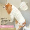 名前 名入れ 刺繍 オリジナル オーダー 犬服 犬の服 ドッグウェア ペットウェア ペット服 ダックス フレブル フレンチブルドッグ 小型犬　白 黒 春 夏 秋 冬 Tシャツ 半袖 プレゼント ギフト 贈り物 ラッピング 誕生日 記念日 日本製 国産 綿 コットン 伸びる 伸縮性 