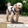 【犬服のタンクトップと飼い主様のTシャツセット500円引き】お揃いペアルック犬服洋服犬服犬の服ドッグウェアペット小型犬フレブルダックスあす楽メール便送料無料誕生日記念日父の日春夏ギフトプレゼントラッピング無料綿日本製