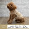 【ポイント20倍】ラッピング無料犬服洋服犬の服ドッグウェアペットウェア小型犬防寒防風寒さ対策冬あす楽メール便送料無料父の日母の日ホワイトデー誕生日記念日ギフト贈り物プレゼントラッピングお揃いペアルック日本製ウールニットセーター暖かい