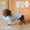 【名入れ 刺繍】犬服 洋服 犬の服 ドッグウェア ペットウェア ダックス 男の子 女の子 誕生日 記念日 ギフト プレゼント お祝い ラッピング 白 赤 青 ワイシャツ 薄手 綿 コットン 襟 ボタン ダウン フォーマル おしゃれ 袖あり 春 夏 秋 お出かけ 写真 撮影 結婚式 お揃い