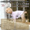 【名入れ 刺繍】犬服 洋服 犬の服 ドッグウェア ペットウェア ダックス 男の子 女の子 誕生日 記念日 ギフト プレゼント お祝い ラッピング 白 赤 青 ワイシャツ 薄手 綿 コットン 襟 ボタン ダウン フォーマル おしゃれ 袖あり 春 夏 秋 お出かけ 写真 撮影 結婚式 お揃い