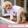 【名入れ 刺繍】犬服 洋服 犬の服 ドッグウェア ペットウェア ダックス 男の子 女の子 誕生日 記念日 ギフト プレゼント お祝い ラッピング 白 赤 青 ワイシャツ 薄手 綿 コットン 襟 ボタン ダウン フォーマル おしゃれ 袖あり 春 夏 秋 お出かけ 写真 撮影 結婚式 お揃い