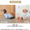 【名入れ 刺繍】犬服 洋服 犬の服 ドッグウェア ペットウェア ダックス 男の子 女の子 誕生日 記念日 ギフト プレゼント お祝い ラッピング 白 赤 青 ワイシャツ 薄手 綿 コットン 襟 ボタン ダウン フォーマル おしゃれ 袖あり 春 夏 秋 お出かけ 写真 撮影 結婚式 お揃い