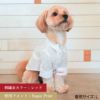 【名入れ 刺繍】犬服 洋服 犬の服 ドッグウェア ペットウェア ダックス 男の子 女の子 誕生日 記念日 ギフト プレゼント お祝い ラッピング 白 赤 青 ワイシャツ 薄手 綿 コットン 襟 ボタン ダウン フォーマル おしゃれ 袖あり 春 夏 秋 お出かけ 写真 撮影 結婚式 お揃い