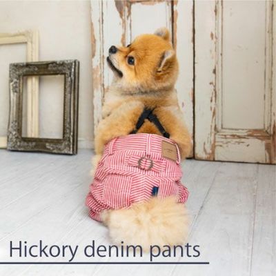 愛犬とリンクコーデ推奨犬服犬服犬の服洋服ドッグウェアペットウェア春夏あす楽メール便送料無料誕生日記念日父の日母の日ギフトプレゼント贈り物メッセージカードペアルックお揃い日本製国産綿コットンパンツずぼんサスペンダーストライプ