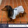 【ポイント20倍】ラッピング無料犬服犬服犬の服ドッグウェアペットウェアあす楽メール便送料無料誕生日記念日ギフトプレゼント贈り物無料メッセージカードペアルックお揃い綿日本製スカートデニム父の日母の日