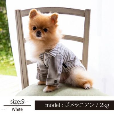 【名入れ 名前 刺繍 】犬服 犬の服 洋服 ドッグウェア ペット 小型犬 パピー フレブル ダックス 男の子 女の子 ペアルック お揃い あす楽 メール便 誕生日 記念日 ギフト プレゼント お祝い 綿 コットン 日本製 ヒッコリー デニム ストライプ ジャケット 春 秋 冬 おしゃれ