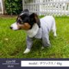 【名入れ 名前 刺繍 】犬服 犬の服 洋服 ドッグウェア ペット 小型犬 パピー フレブル ダックス 男の子 女の子 ペアルック お揃い あす楽 メール便 誕生日 記念日 ギフト プレゼント お祝い 綿 コットン 日本製 ヒッコリー デニム ストライプ ジャケット 春 秋 冬 おしゃれ