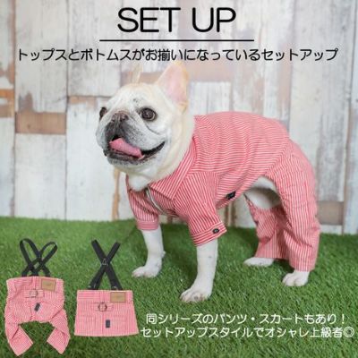 【名入れ 名前 刺繍 】犬服 犬の服 洋服 ドッグウェア ペット 小型犬 パピー フレブル ダックス 男の子 女の子 ペアルック お揃い あす楽 メール便 誕生日 記念日 ギフト プレゼント お祝い 綿 コットン 日本製 ヒッコリー デニム ストライプ ジャケット 春 秋 冬 おしゃれ
