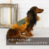 【名入れ 刺繍】犬 服 洋服 犬の服 ドッグウェア 小型犬 フレブル ダックス 記念日 誕生日 ギフト 贈り物 プレゼント ラッピング お祝い ベスト 背中 背面 開き ジッパー チャック 綿 コットン 日本製 腰 負担 軽減 ヘルニア 秋冬 簡単 着脱 キャンプ アウトドア おしゃれ