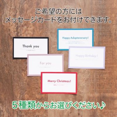 【ポイント20倍】ラッピング無料犬服洋服犬の服ドッグウェアペットウェア小型犬あす楽メール便送料無料冬父の日母の日ホワイトデー誕生日記念日ギフト贈り物プレゼントメッセージカードアーガイルニットセーター防寒お出かけウール日本製暖かい