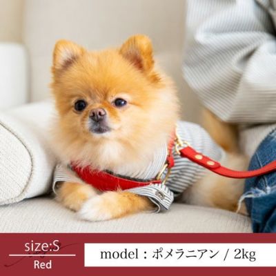 【ポイント20倍】☆楽天ランキング1位☆ラッピンング無料犬ペットグッズ用品犬用ドッググッズ超小型犬小型犬あす楽メール便送料無料ハーネス胴輪固定胸あて式誕生日記念日父の日母の日ホワイトデーギフトプレゼントレザーヌメ革日本製調整可能おしゃれ