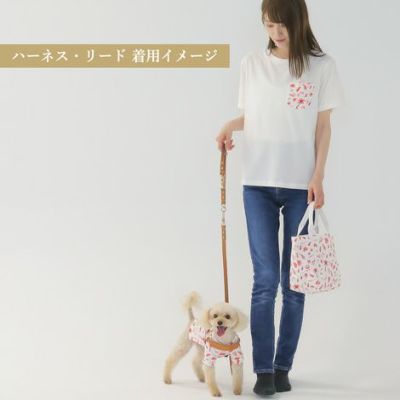 【ポイント20倍】☆楽天ランキング1位☆ラッピング無料犬犬用ペットグッズ用品ドッググッズ超小型犬小型犬中型犬あす楽メール便送料無料誕生日記念日父の日母の日ホワイトデーギフトプレゼントリードレザーヌメ革牛革日本製散歩多頭飼い２頭複数