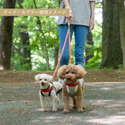 【ポイント20倍】☆楽天ランキング1位☆ラッピング無料犬犬用ペットグッズ用品ドッググッズ超小型犬小型犬中型犬あす楽メール便送料無料誕生日記念日父の日母の日ホワイトデーギフトプレゼントリードレザーヌメ革牛革日本製散歩多頭飼い２頭複数